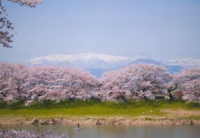 大河原町長賞「絶景」管野様