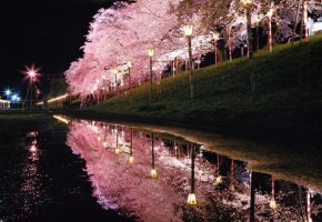 (一社)大河原町観光物産協会長賞「水面に彩る宵まつり」山崎様