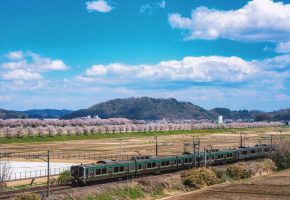 大河原町長賞「大河原の桜並木と東北本線」原田真瞳様