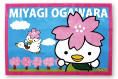 レジャーシート ¥1200