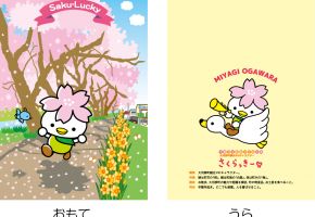 新クリアファイル(桜)¥250