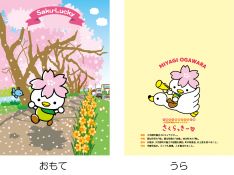 新クリアファイル(桜)¥250
