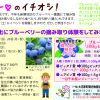 2026年7月号